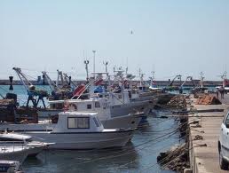 Pesca in adriatico Rivolta delle marinerie appello a Parlamento Ue Pesca in adriatico Rivolta delle marinerie appello a Parlamento Ue