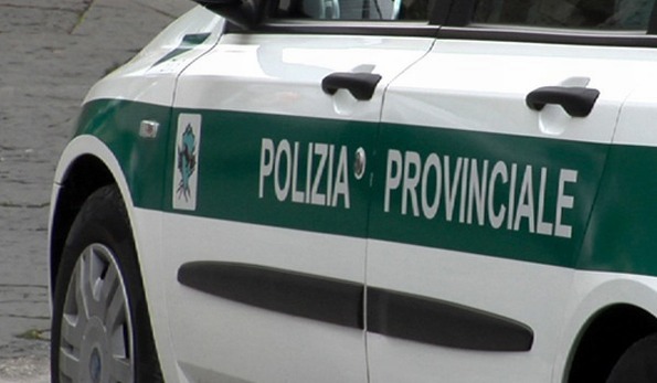 Polizia Provinciale: sequestro di reti e richiami elettroacustici sulla SP 141