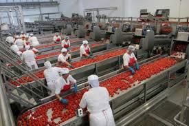 “Princes Industrie Alimentari Foggia: prende in giro i lavoratori”