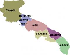 Provincie: la consulta boccia taglio e riforme