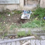 Manfredonia, rubano alberi da scuola infanzia; maestre: vergogna Manfredonia, rubano alberi da scuola infanzia; maestre: vergogna