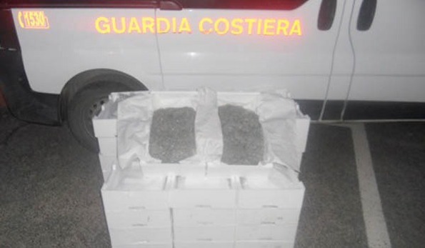 Capitaneria di Porto: sequestrati oltre 600kg di cefali Capitaneria di Porto: sequestrati oltre 600kg di cefali