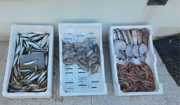 Vieste, sequestro di pesce in cattivo stato di conservazione