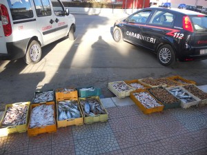 blitz Guardia Costiera-carabinieri: sequestri a pescivendoli abusivi