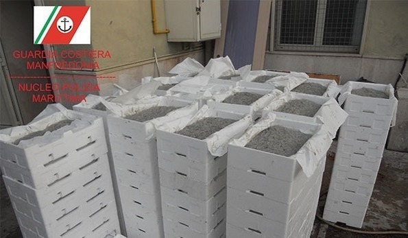 Sequestrati 100 kg di pesce di dubbia provenienza. Blitz in locali etnici