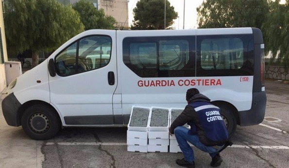 Maxi sequestro di bianchetto a Manfredonia, multa di 12mila euro