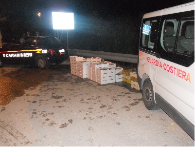 Maxi sequestro di prodotti ittici