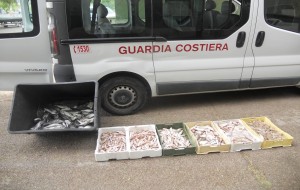 Manfredonia, cozze, triglie, cicale, sequestri a pescivendoli