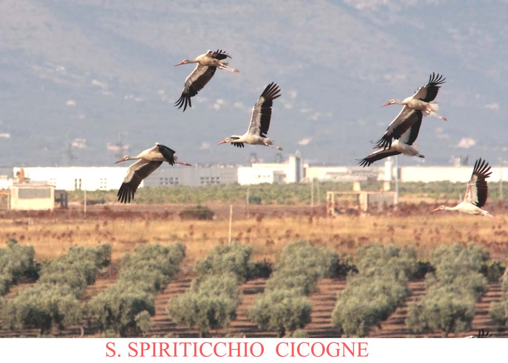 La Soprintendenza a Santo Spiriticchio per il deposito Energas