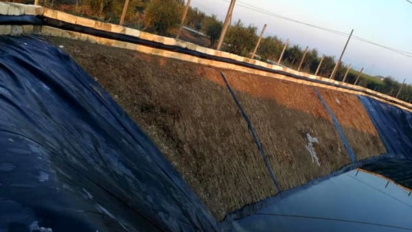 Furto teli vasconi in provincia di Foggia