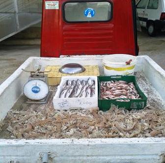 Vieste, pescivendoli abusivi, sequestri e deferimenti