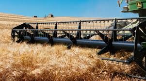 In un anno crollato import grano dal Canada (-50%)