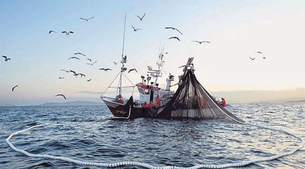 Pesca: si sblocca il fermo biologico 2017 e in Puglia arrivano altri 650mila euro