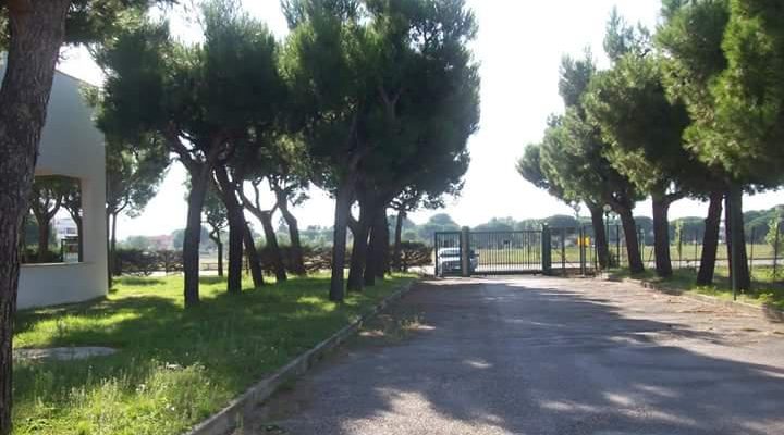 CANI AGGRESSIVI ALLO SCALO DEI SARACENI, RICHIESTO INTERVENTO FORESTALI. IL BRANCO HA AMMAZZATO ALTRI DUE CANI