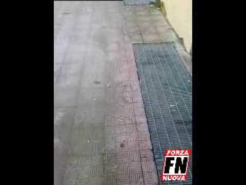 Video – FORZA NUOVA DENUNCIA: “A BORGO MEZZANONE SI RISCHIA UN’ALTRA VIALE GIOTTO”