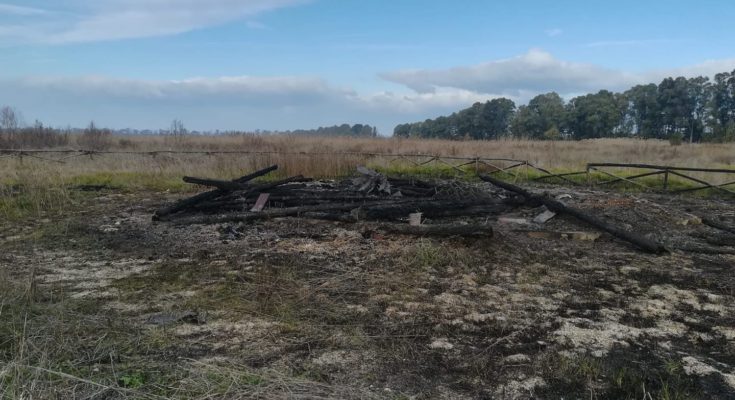ATTENTATO INCENDIARIO ALL’OASI LAGO SALSO ATTENTATO INCENDIARIO ALL’OASI LAGO SALSO