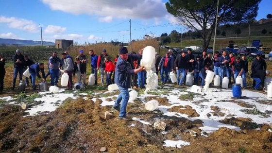 Pastori Sardi – “In Sardegna si è rotta la corda e in Capitanata?”