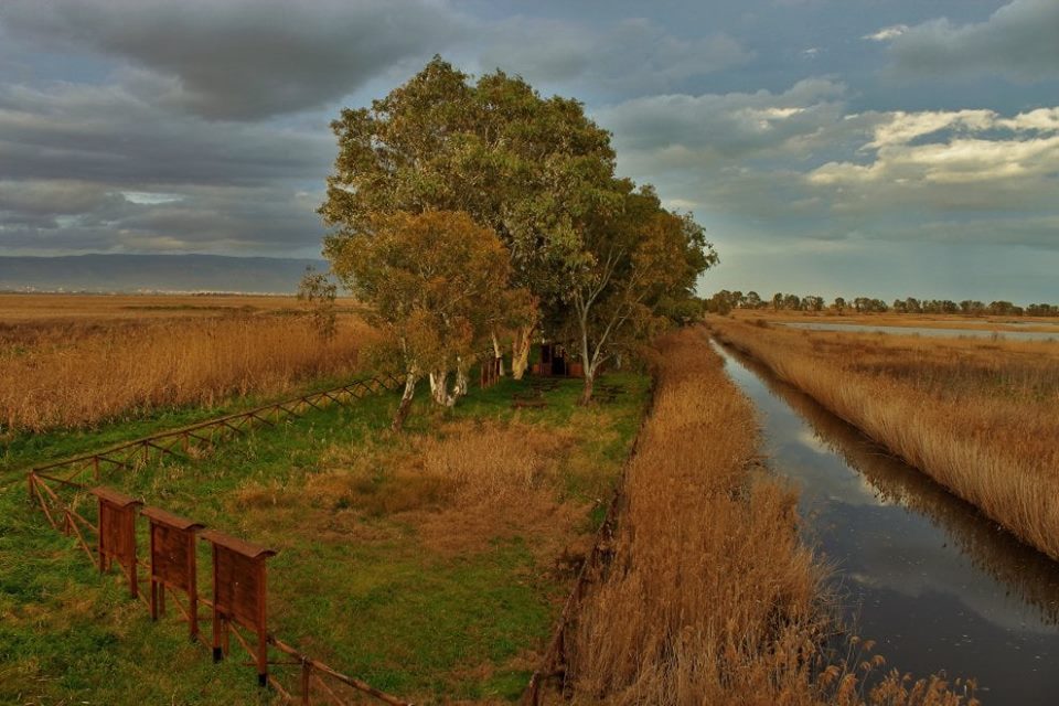 L’ACQUA CONTESA DEL LAGO SALSO