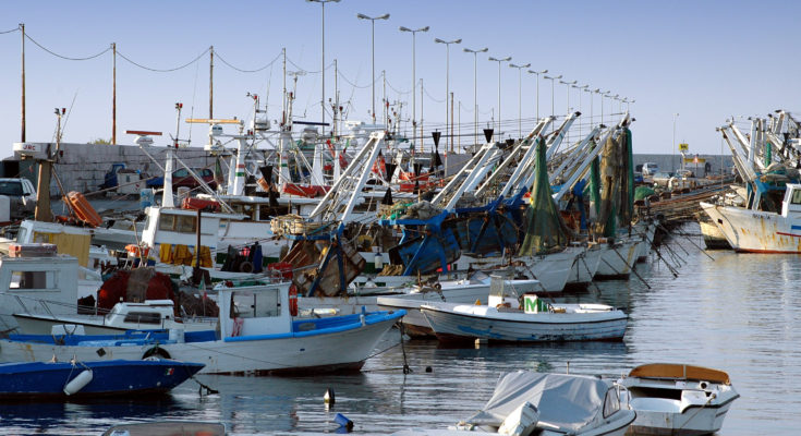 FERMO PESCA DAL 29 LUGLIO AL 27 AGOSTO