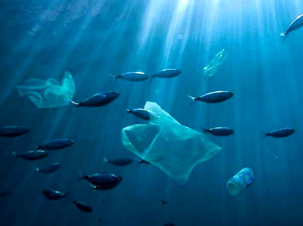 “KEEP PLASTIC E SALVA IL MARE” ANCHE A MANFREDONIA “KEEP PLASTIC E SALVA IL MARE” ANCHE A MANFREDONIA