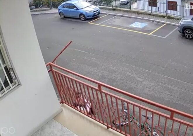 Mattinata.Minacce e vessazioni al vicino disabile